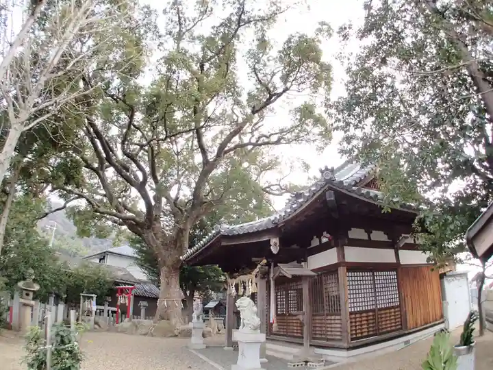 常世岐姫神社の本殿・本堂
