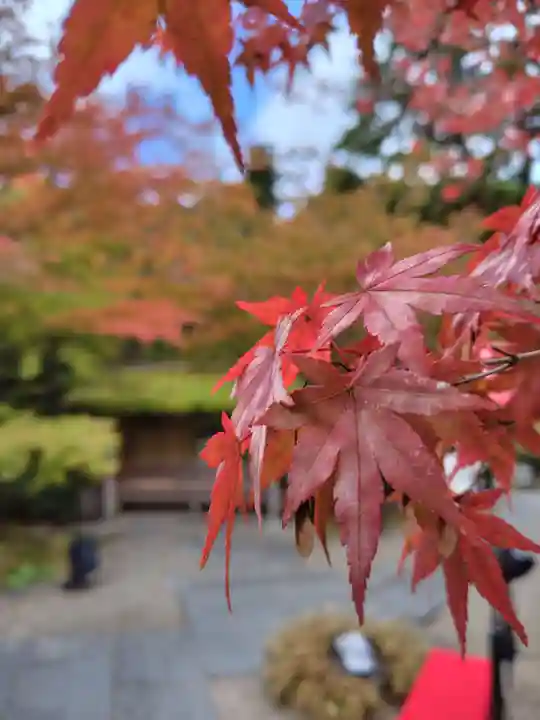 円通院(宮城県)