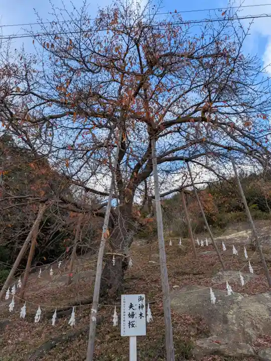 生石神社(兵庫県)