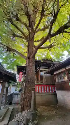 宇迦八幡宮の自然