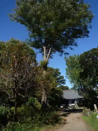 万蔵院(茨城県)