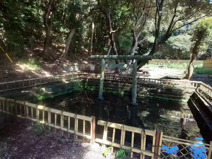 大洗磯前神社の鳥居