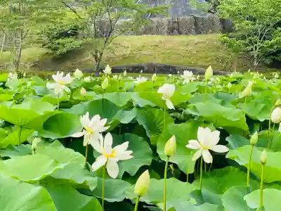 常信寺(三重県)