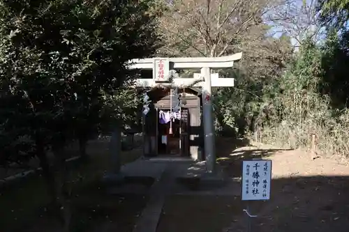 長沼八幡宮(栃木県)