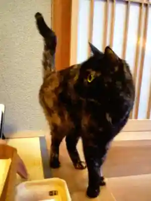 五十稲荷神社(栄寿稲荷神社)(東京都)