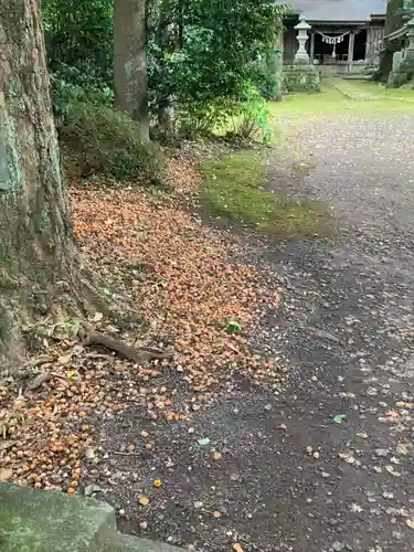 子安神社(茨城県)