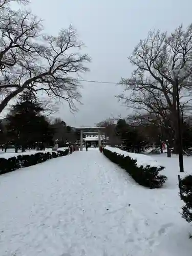 札幌護國神社の景色