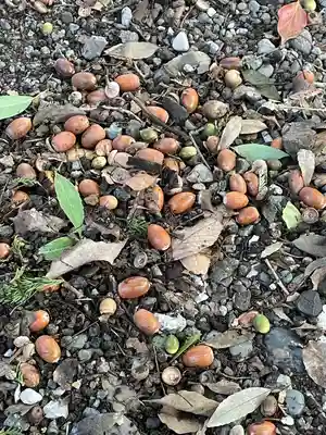 笠䅣稲荷神社(神奈川県)