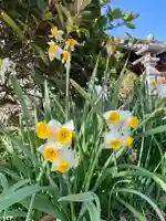 大避神社(兵庫県)