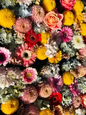 金峯神社の{uncategorized: "未分類", other: "その他", undefined: "問題あり", building: "その他建物", grave: "お墓", sacred_gate: "鳥居", guardian: "狛犬", statue: "像", buddha: "仏像", history: "歴史", nature: "自然", garden: "庭園", animal: "動物", pagoda: "塔", temizu: "手水舎", mountain_gate: "山門・神門", sanctuary: "本殿・本堂", subordinate: "末社・摂社", art: "芸術", scenery: "景色", jizo: "地蔵", ema: "絵馬", goshuin: "御朱印", omikuji: "おみくじ", items: "授与品その他", amulet: "お守り", goshuincho: "御朱印帳", eats: "食事", festival: "お祭り", votive_dance: "神楽", shichigosan: "七五三参", wedding: "結婚式", experience: "体験その他", initially: "初詣", around: "周辺", anti_infection: "感染症対策"}