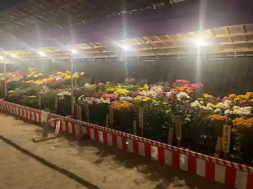 太宰府天満宮(福岡県)