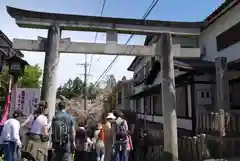 吉水神社の鳥居