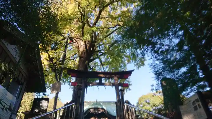 下総国三山 二宮神社のその他建物