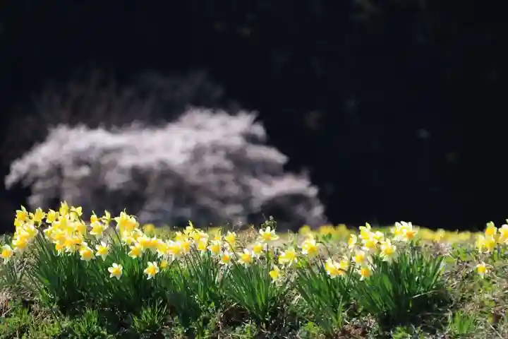 高司神社〜むすびの神の鎮まる社〜の周辺