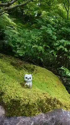 五所駒瀧神社(茨城県)