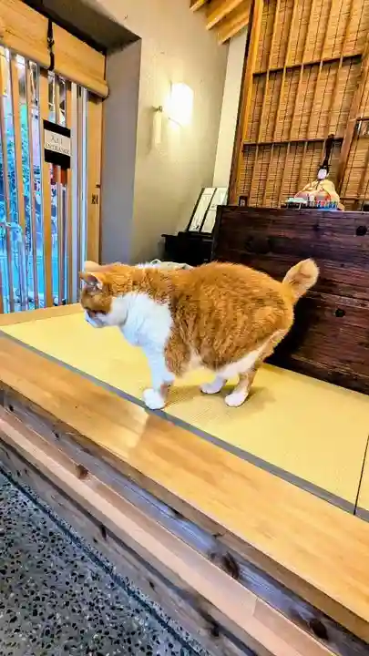 五十稲荷神社(栄寿稲荷神社)の動物