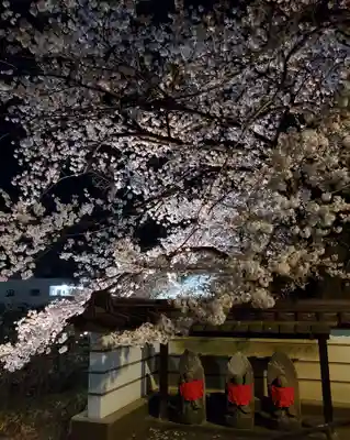如宝寺(福島県)