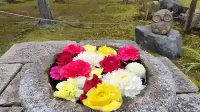 勝林寺(京都府)