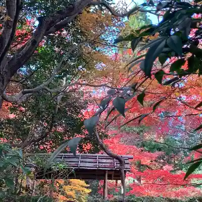 厭離庵(京都府)