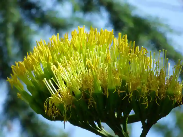 烏森神社(東京都)