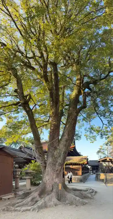 藤森神社(京都府)