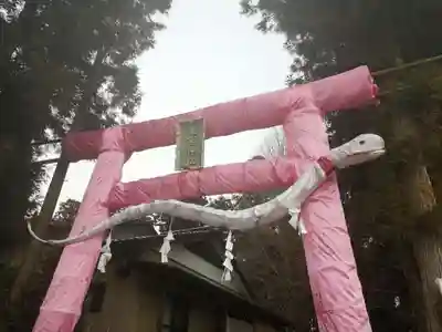 下野 星宮神社の鳥居