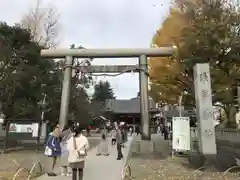 浅草神社の鳥居