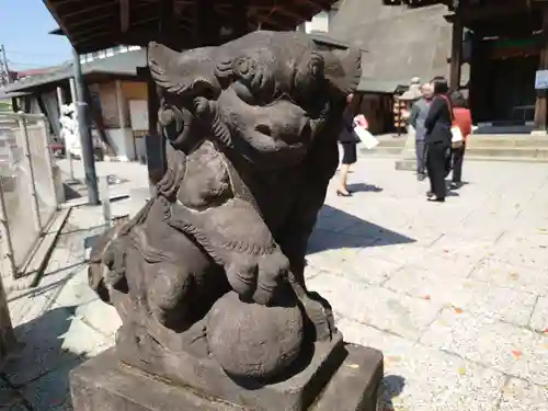 太田杉山神社・横濱水天宮の狛犬