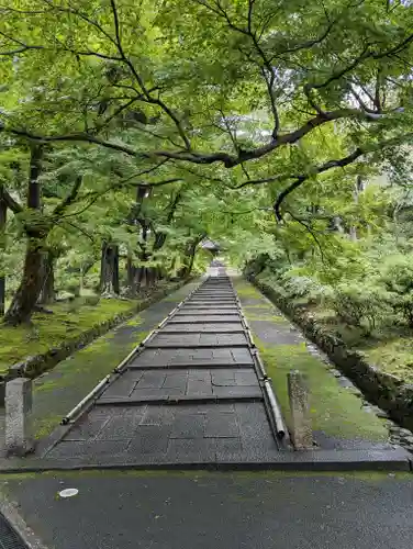 毘沙門堂門跡(京都府)