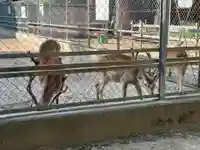 鹿島神宮(茨城県)