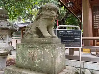阿蘇神社の狛犬