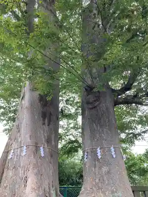春日神社(東京都)