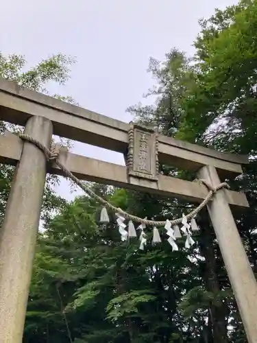 玉置神社の鳥居