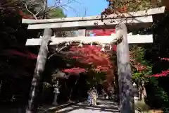 大原野神社(京都府)