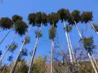 東光寺(埼玉県)