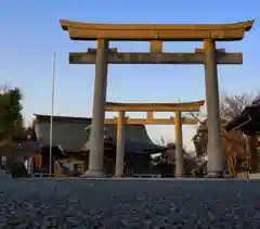 徳島県護國神社の鳥居