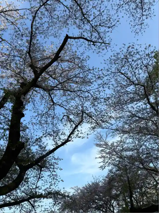 東蕗田天満社(茨城県)