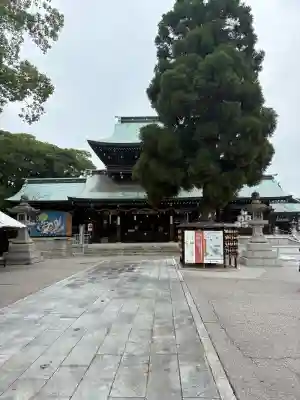 遠石八幡宮の{uncategorized: "未分類", other: "その他", undefined: "問題あり", building: "その他建物", grave: "お墓", sacred_gate: "鳥居", guardian: "狛犬", statue: "像", buddha: "仏像", history: "歴史", nature: "自然", garden: "庭園", animal: "動物", pagoda: "塔", temizu: "手水舎", mountain_gate: "山門・神門", sanctuary: "本殿・本堂", subordinate: "末社・摂社", art: "芸術", scenery: "景色", jizo: "地蔵", ema: "絵馬", goshuin: "御朱印", omikuji: "おみくじ", items: "授与品その他", amulet: "お守り", goshuincho: "御朱印帳", eats: "食事", festival: "お祭り", votive_dance: "神楽", shichigosan: "七五三参", wedding: "結婚式", experience: "体験その他", initially: "初詣", around: "周辺", anti_infection: "感染症対策"}