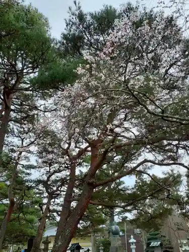 竹駒神社の自然