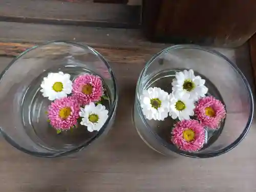 渋谷氷川神社(東京都)