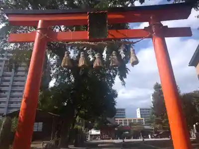 榴岡天満宮の鳥居