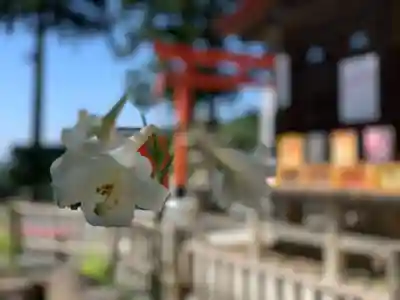 高屋敷稲荷神社のその他建物