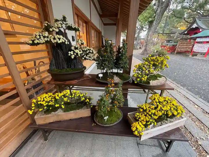 美奈宜神社(福岡県)