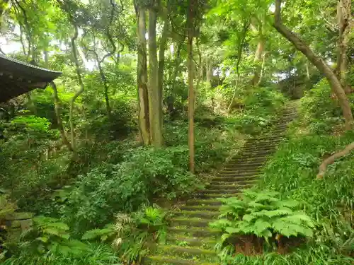 妙法寺の景色