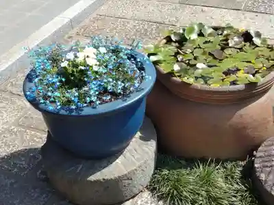 光明院(千葉県)