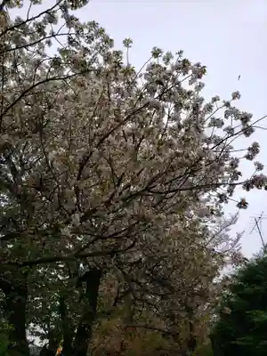 田端神社(東京都)