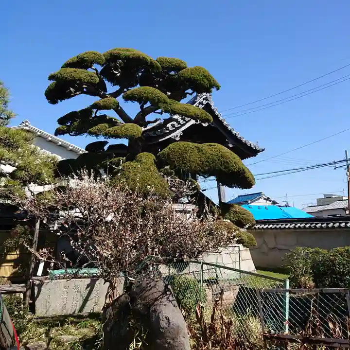 西法寺(大阪府)