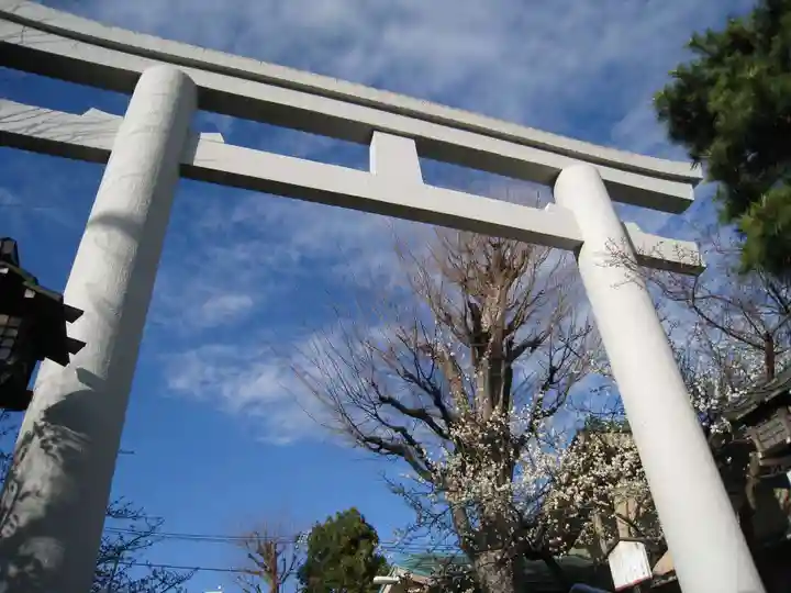新宿下落合氷川神社の鳥居
