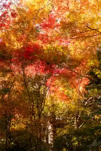 大矢田神社(岐阜県)