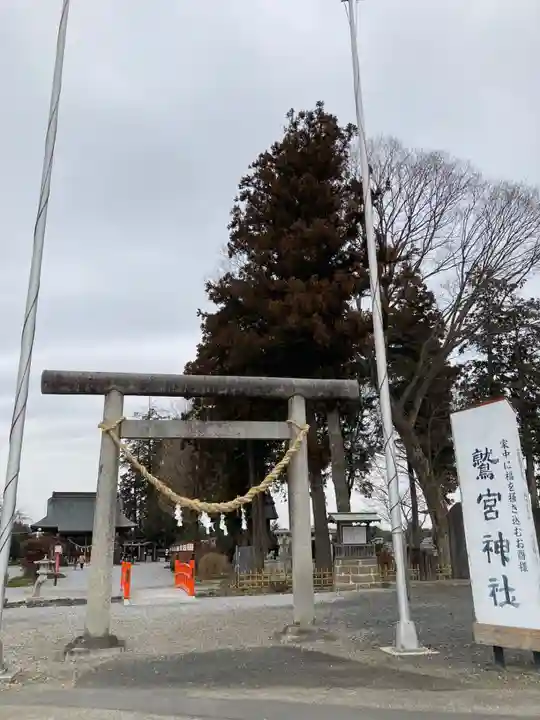 鷲宮神社の鳥居